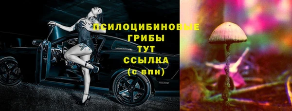шишки Алексеевка