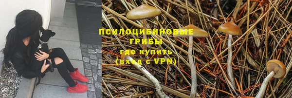 шишки Алексеевка