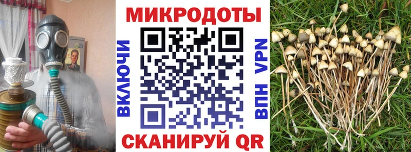 Псилоцибиновые грибы GOLDEN TEACHER  Сосновоборск 